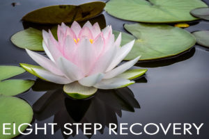 Eight Step Recovery – Now Online
